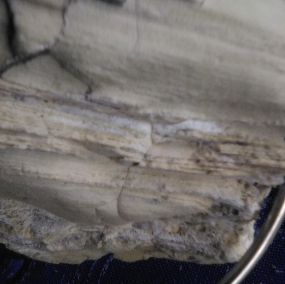 Petrified wood/ rocks - Picture 4 of 4